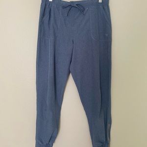 Albion Fit Light Blue Chambray Jetsetters / Joggers